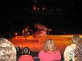 Disney On Ice 030